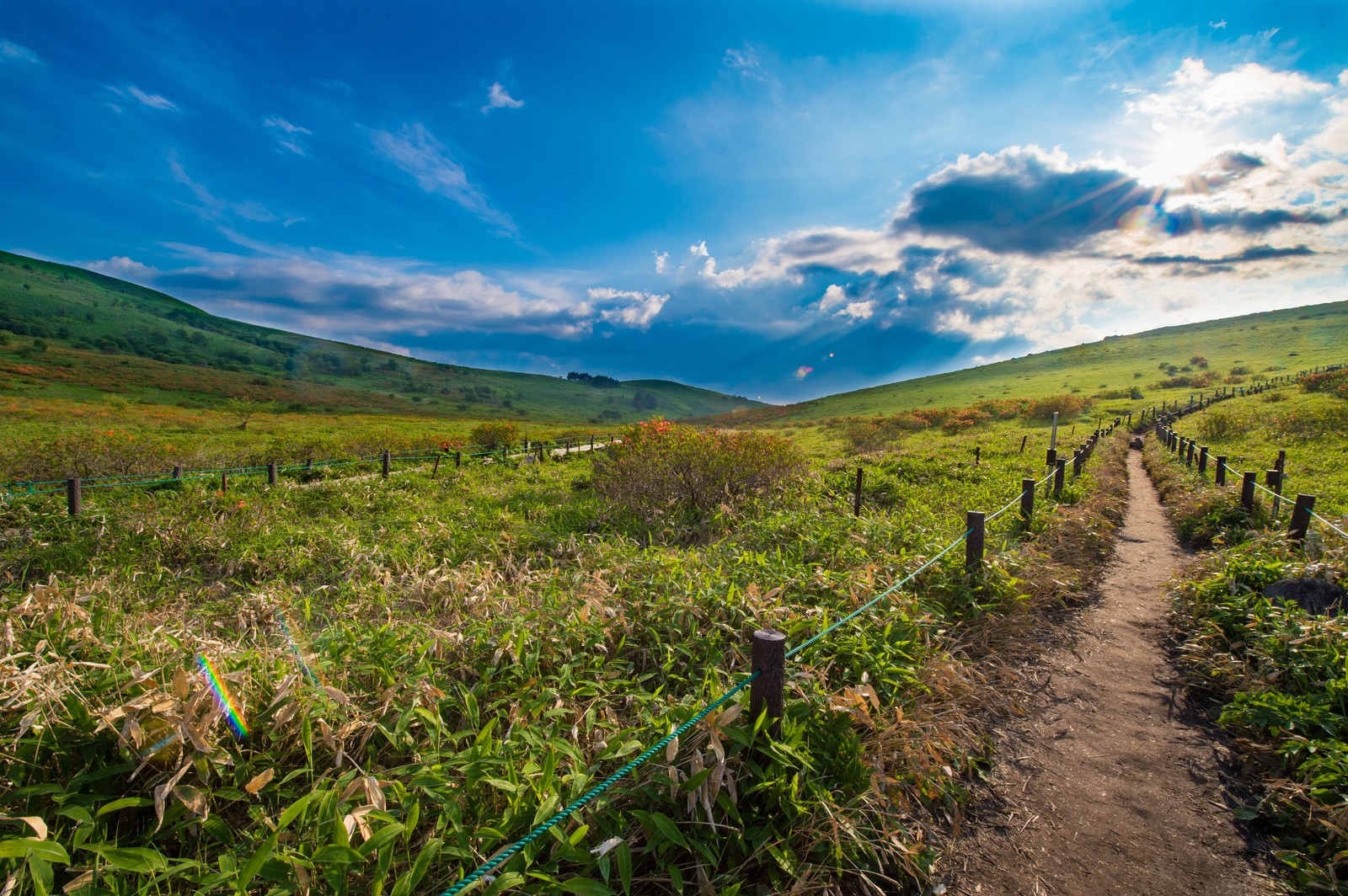 ハイキング道